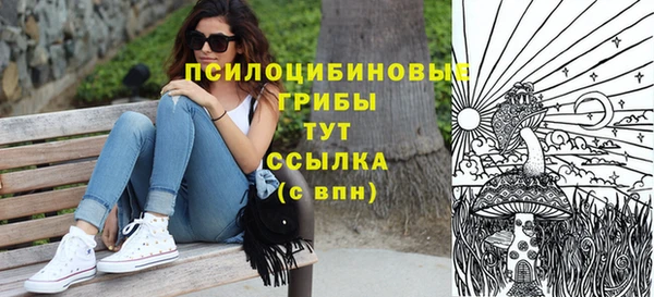 не бодяженный Абдулино